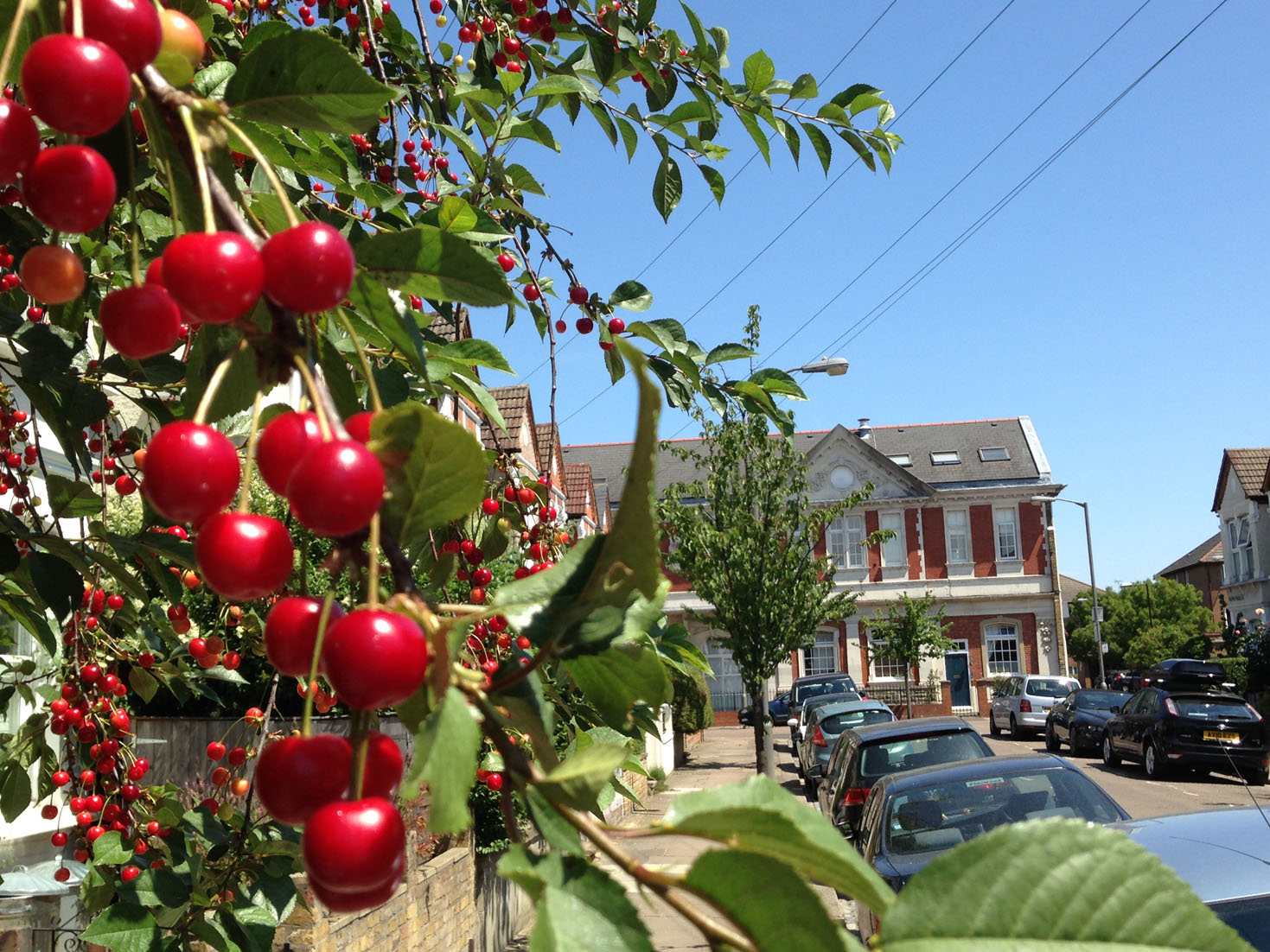 cherrylaundry