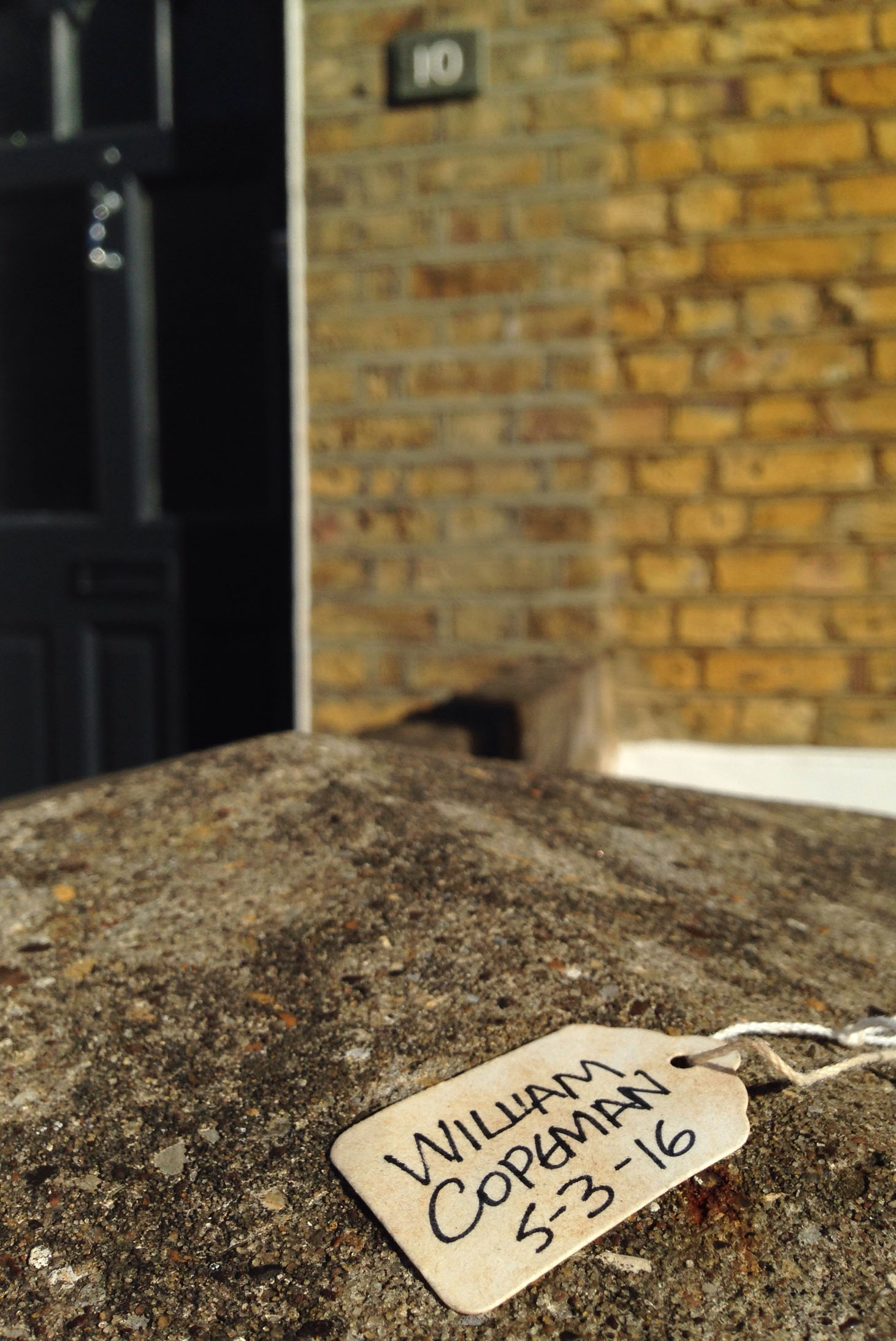 Camberwell Beauty