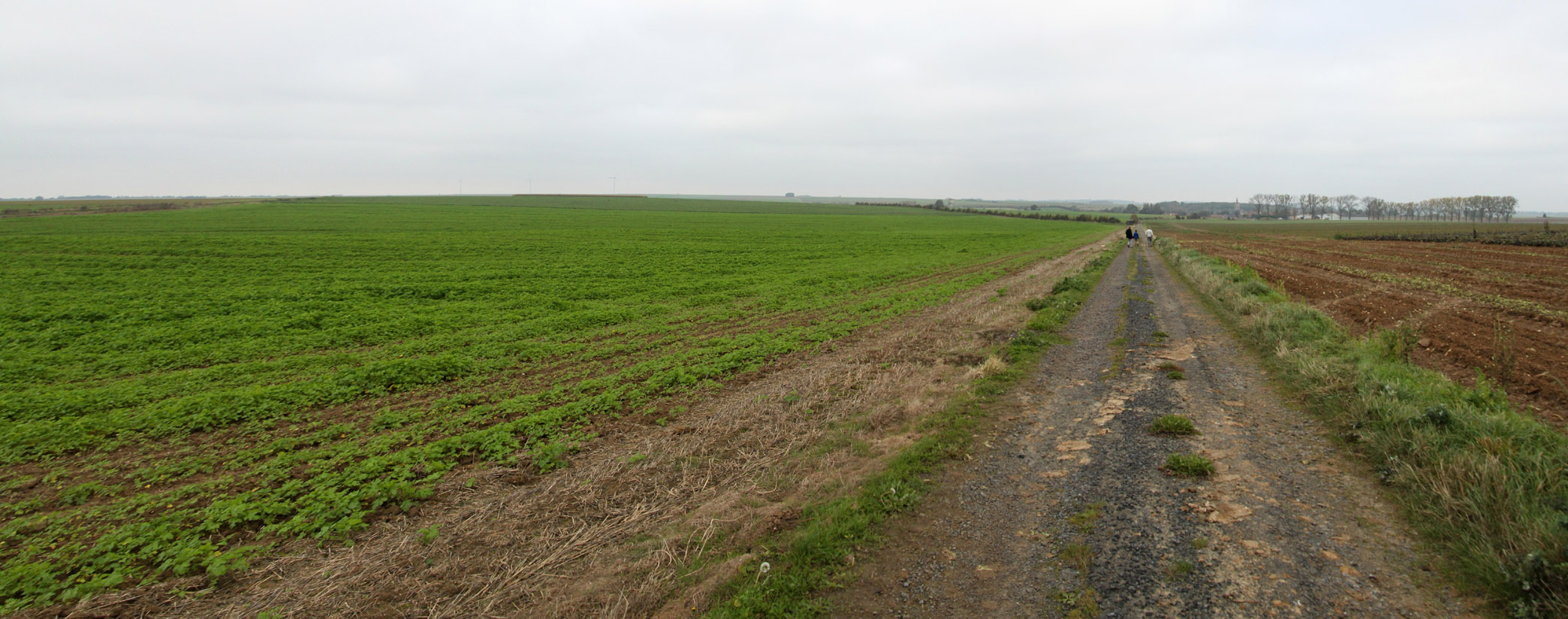 Untitled_Panorama1