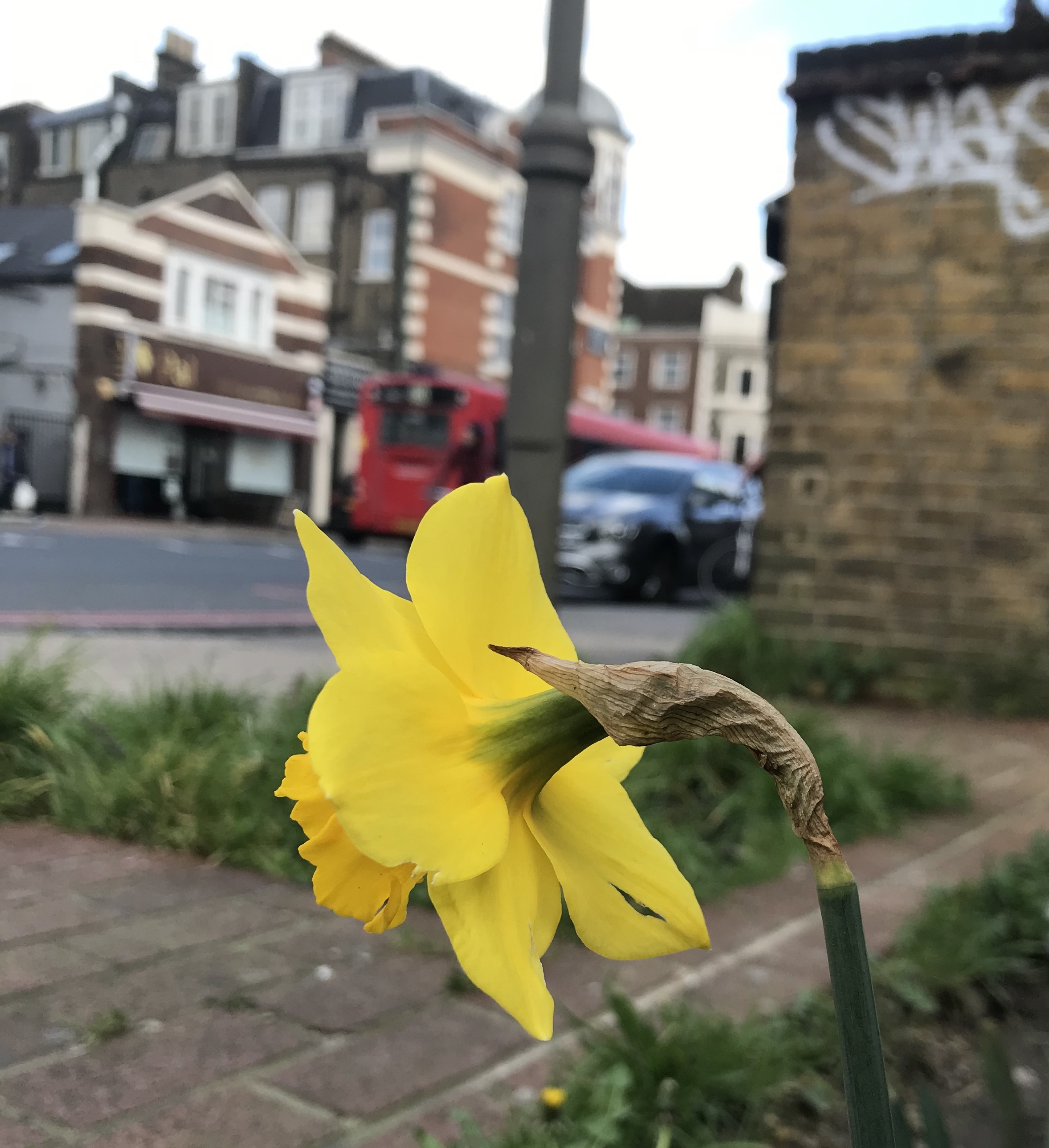 image00076