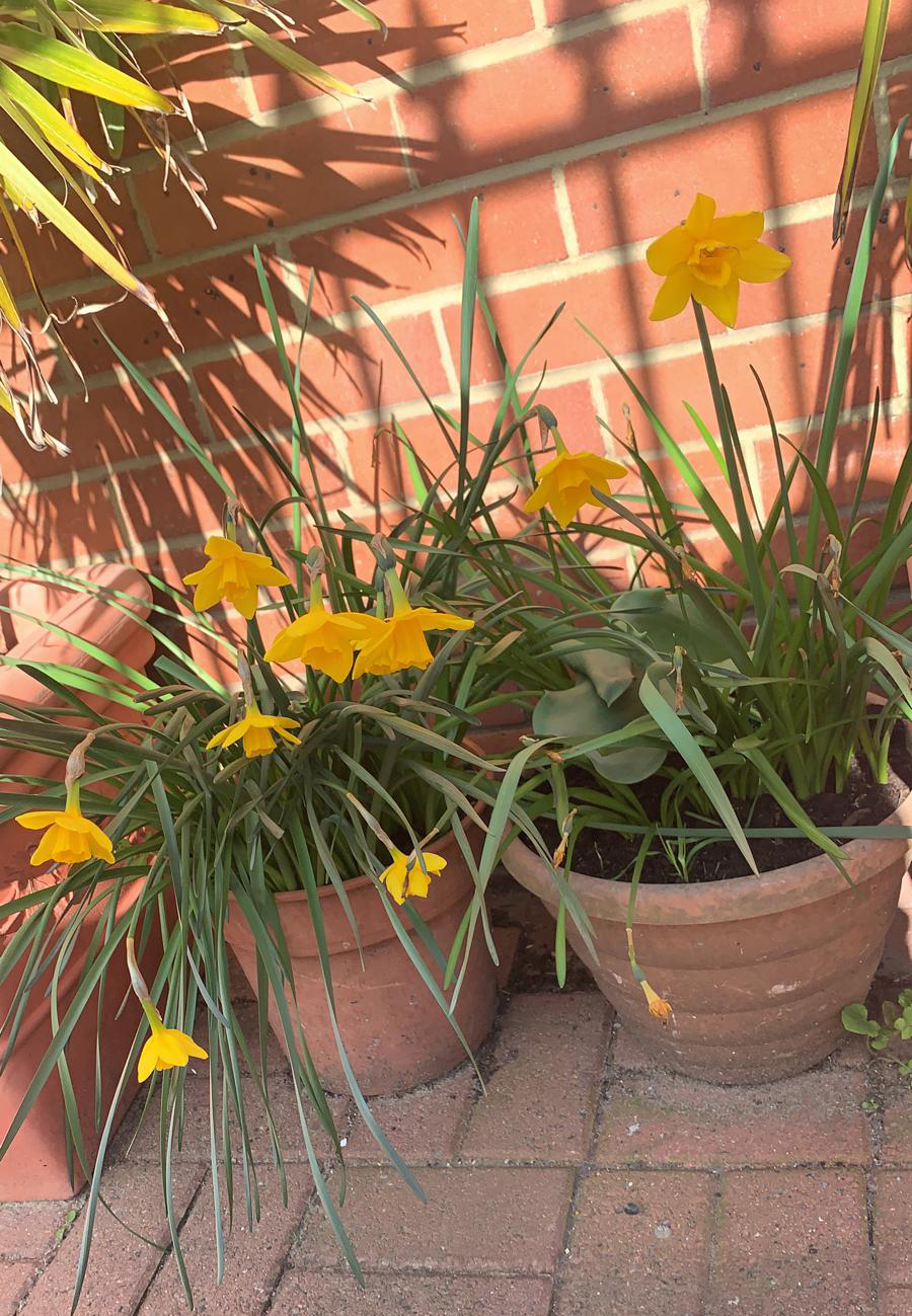 image00065