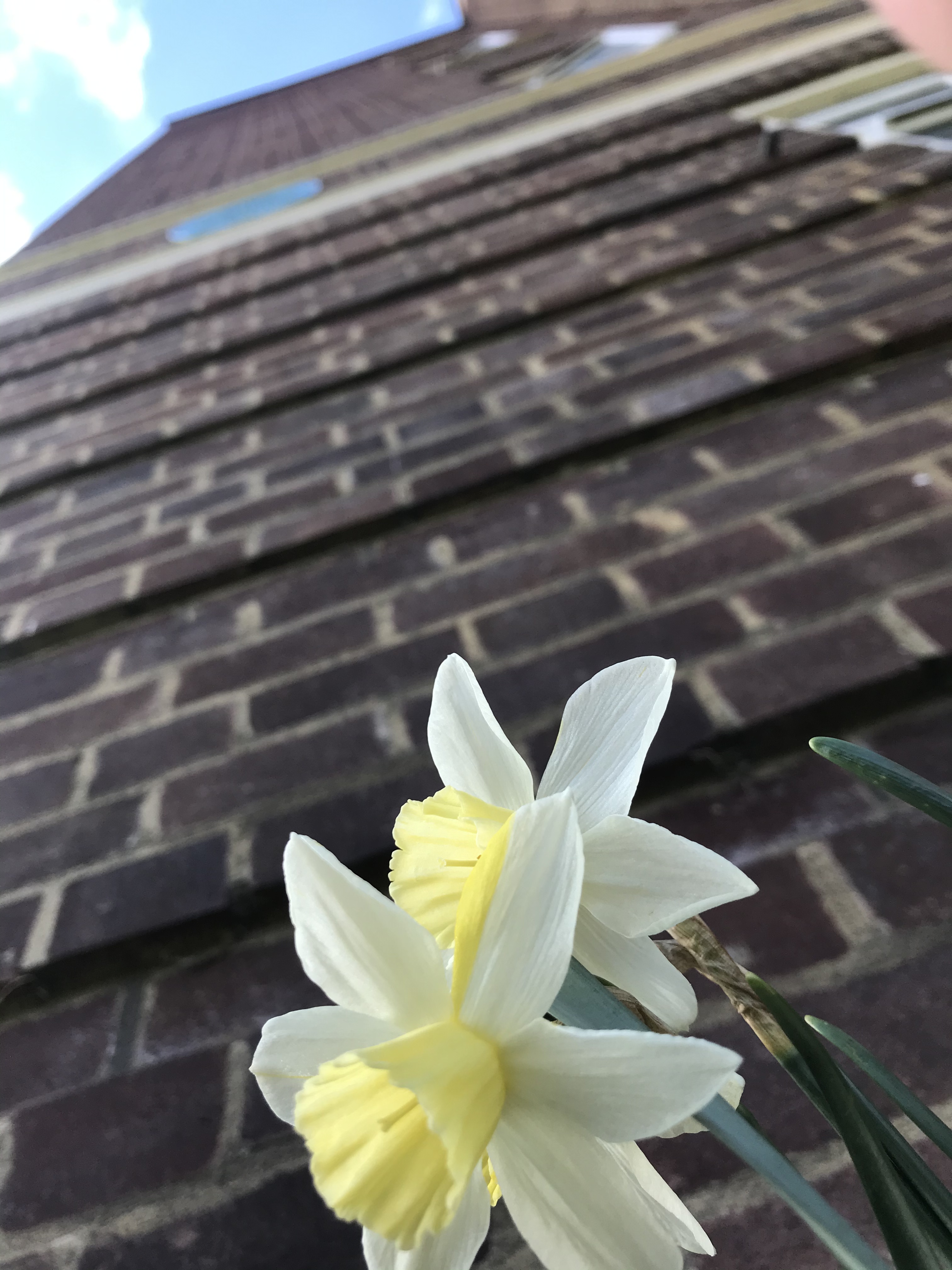image00086