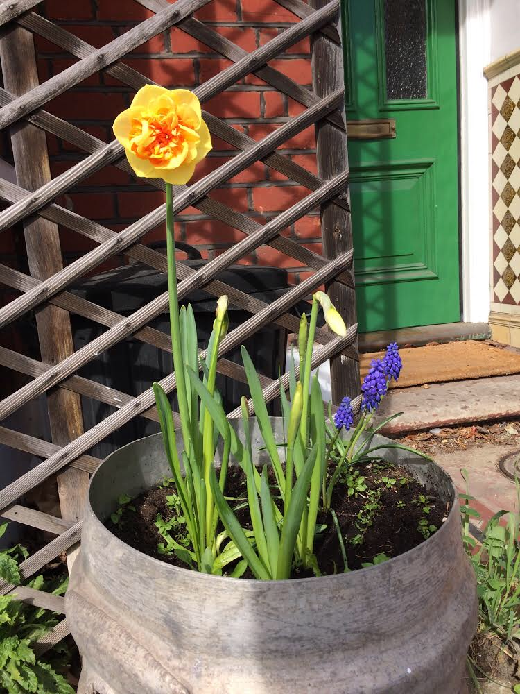 image00125