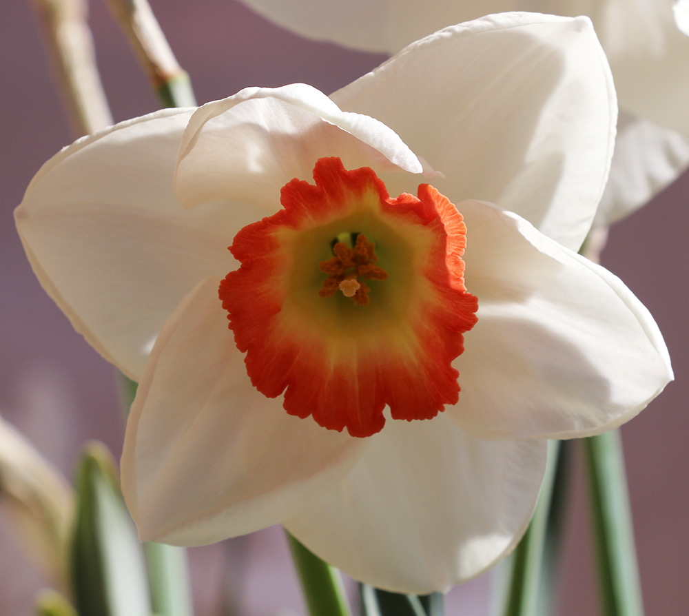 image00134
