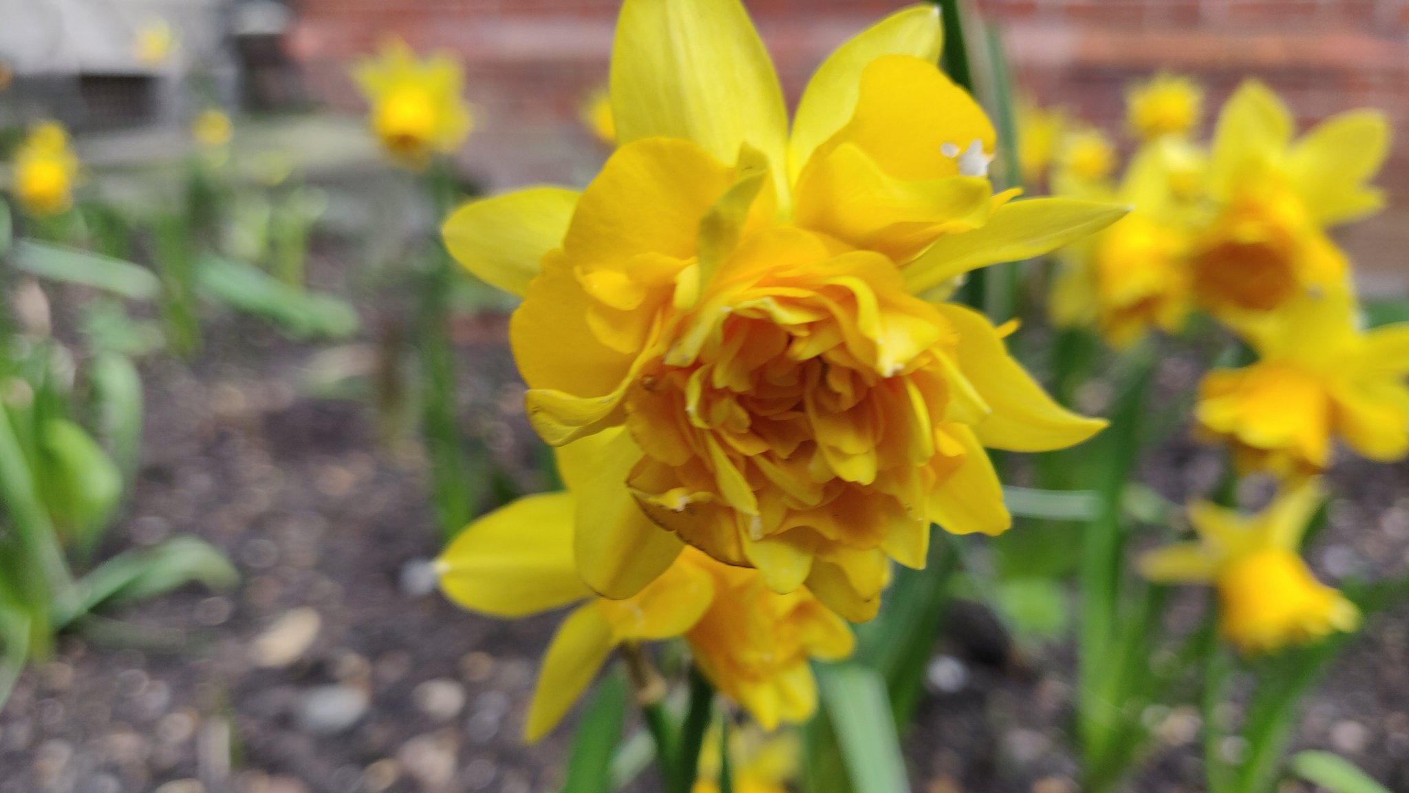 image00063