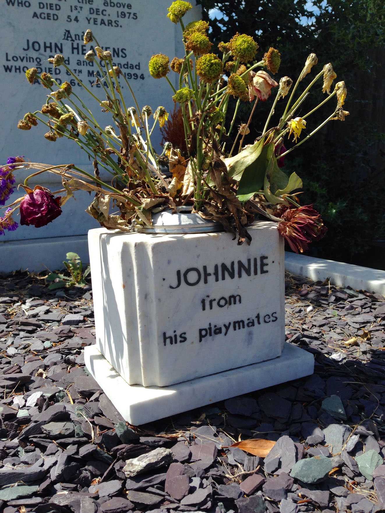 Johnnie1