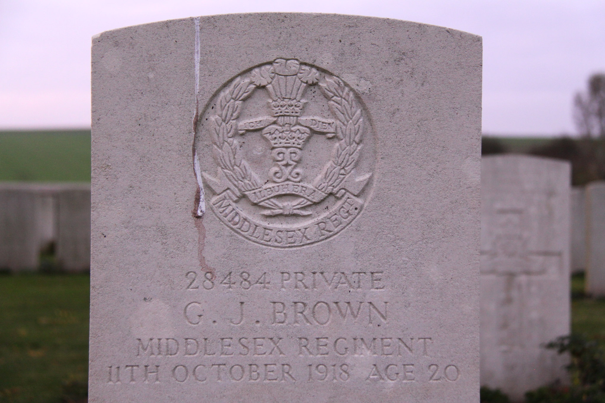 Brown2