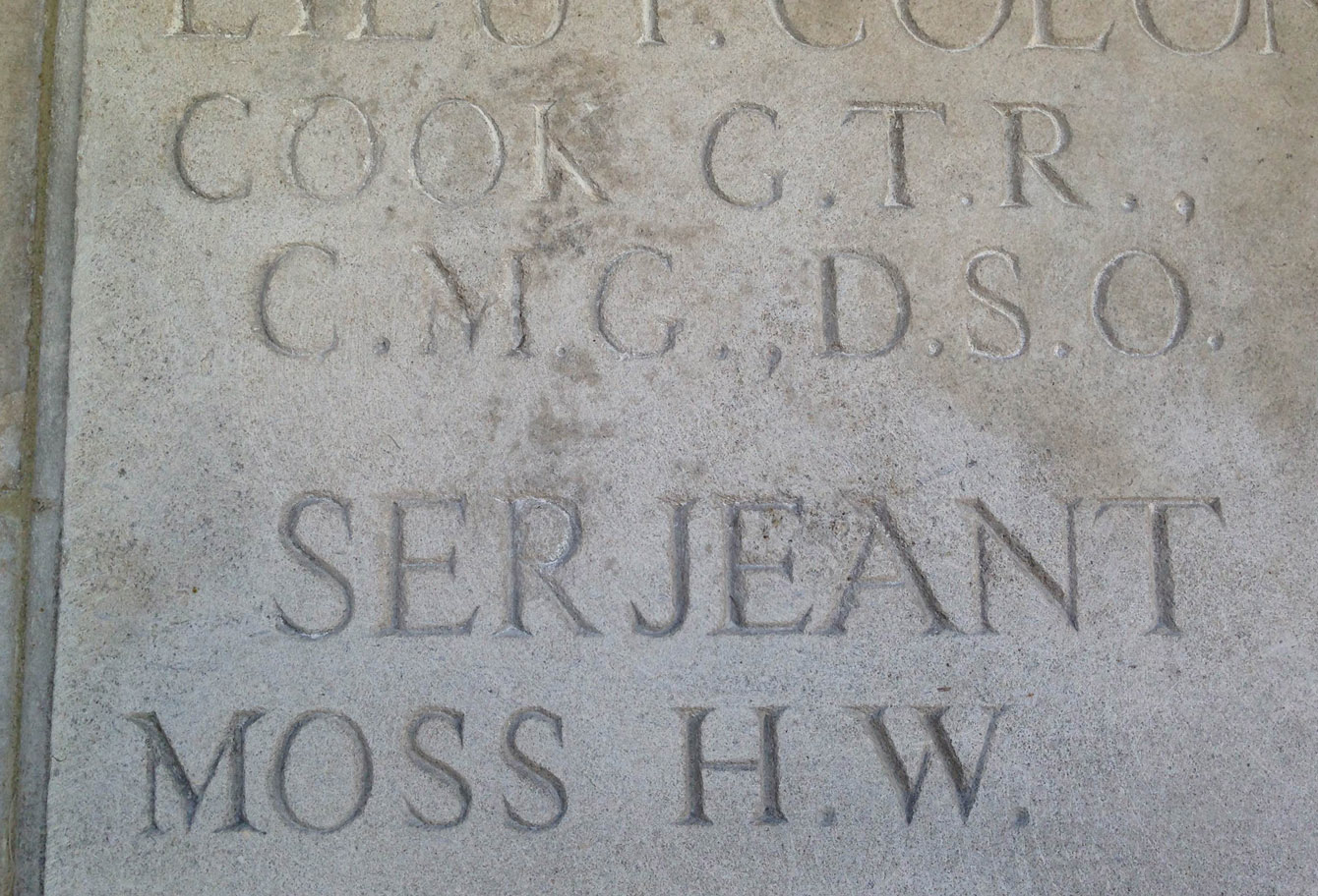 moss3