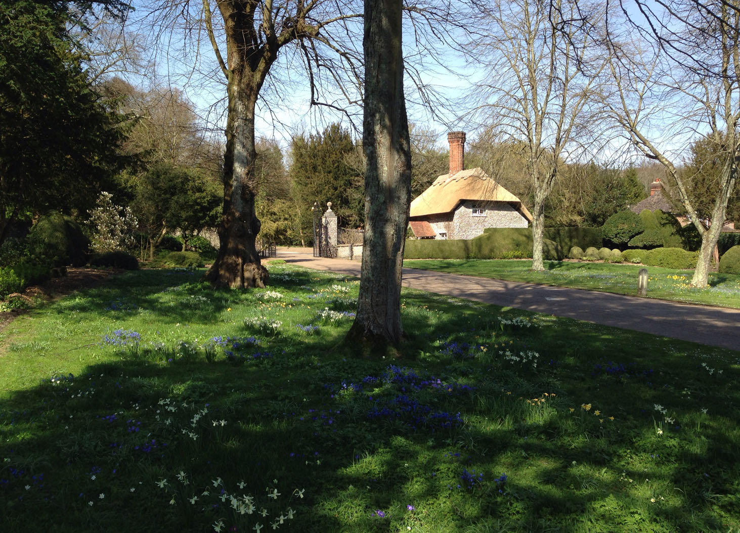 WestDean3