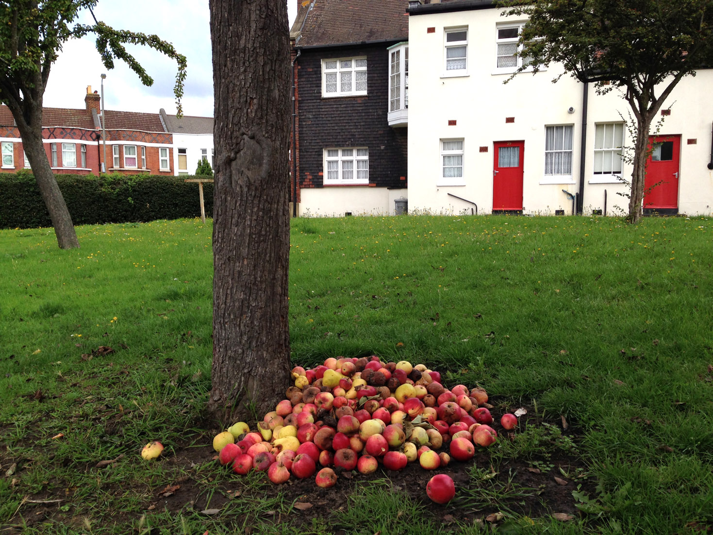 windfall