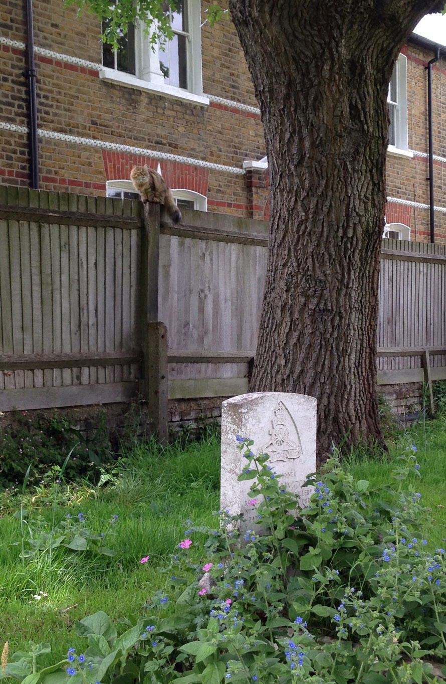 Putney to Mortlake