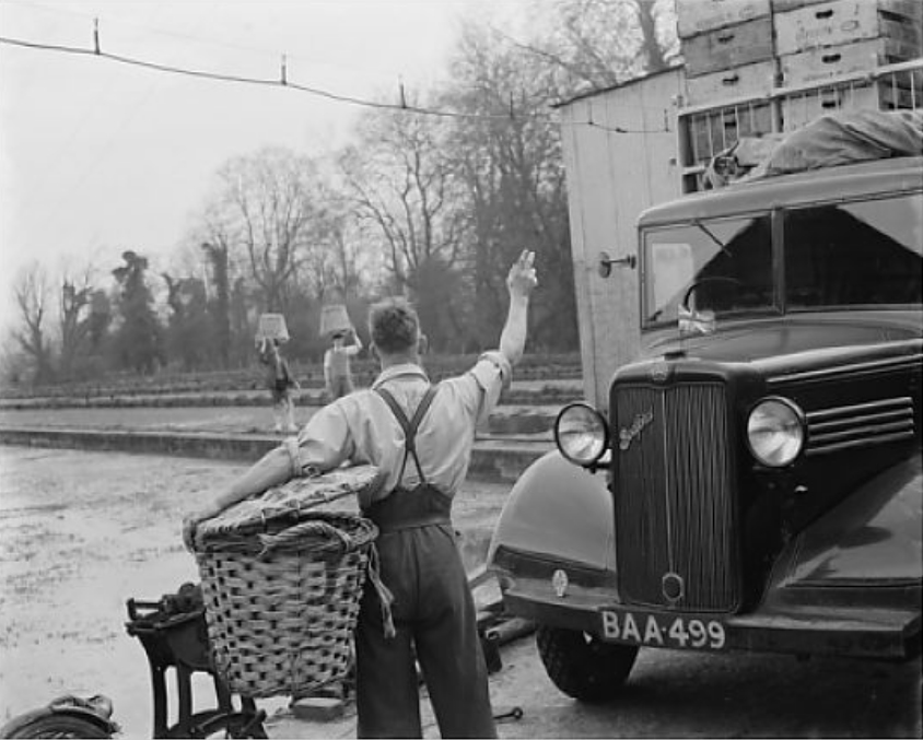 Mitcham1938