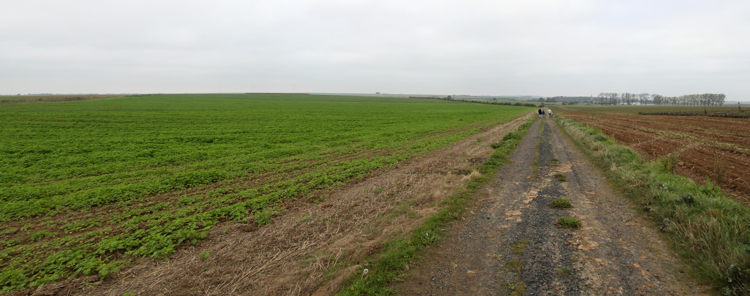 Cambrai1