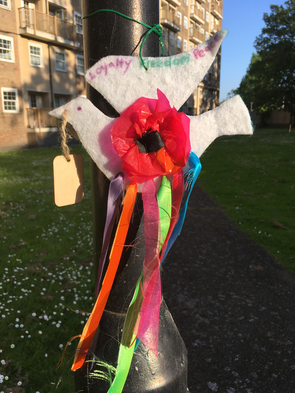 PeaceDove