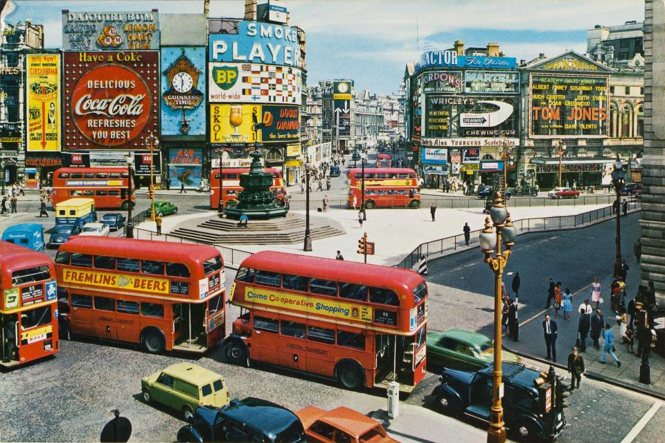 buses