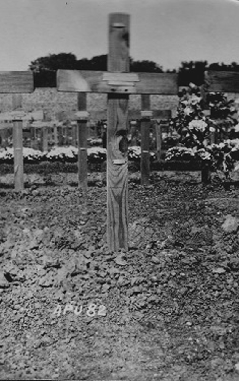 tcmgrave