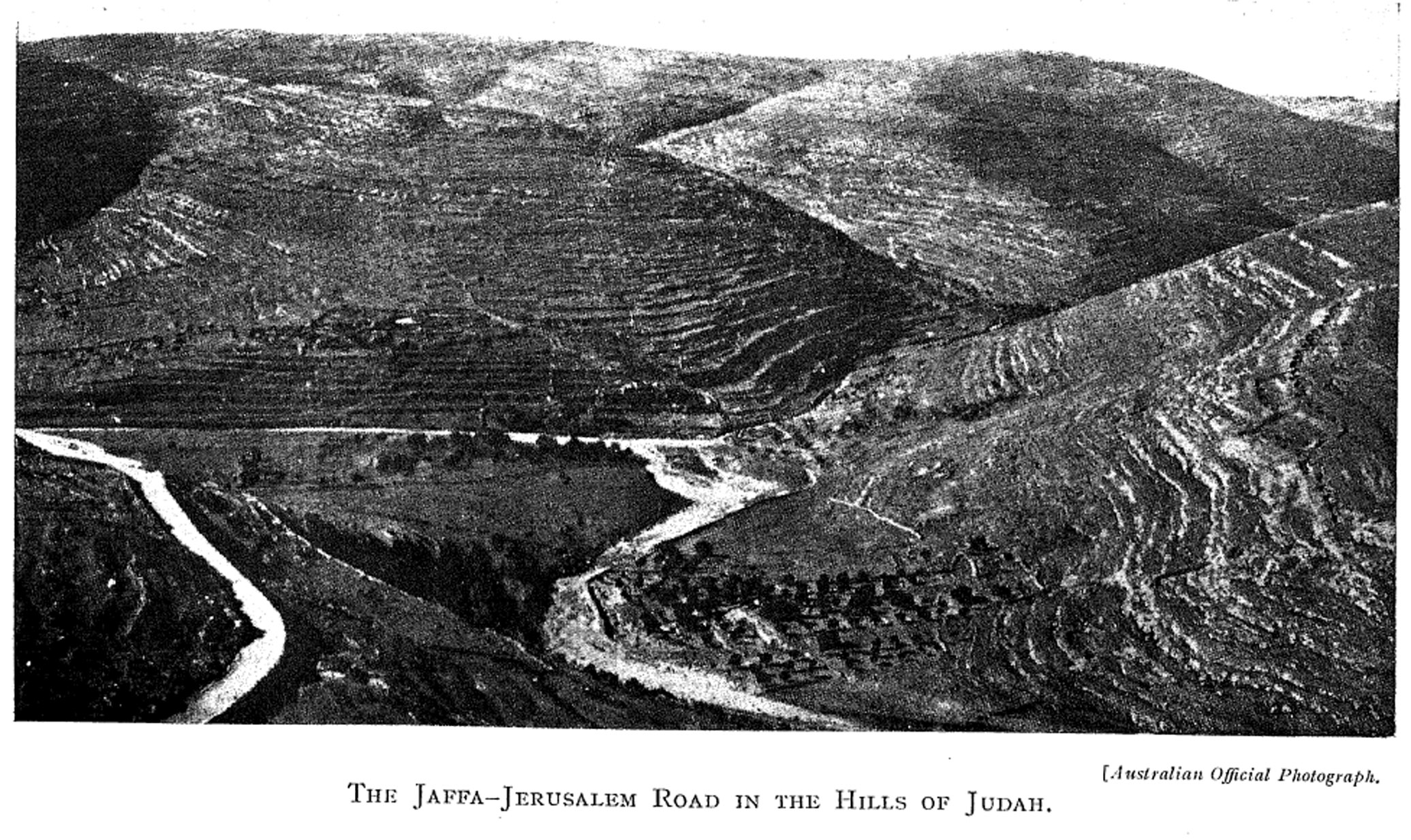 Jaffa