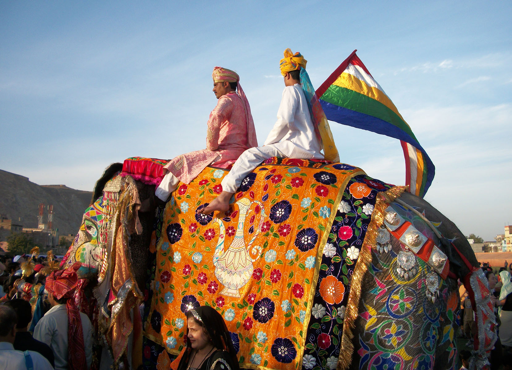 The Delhi Durbar