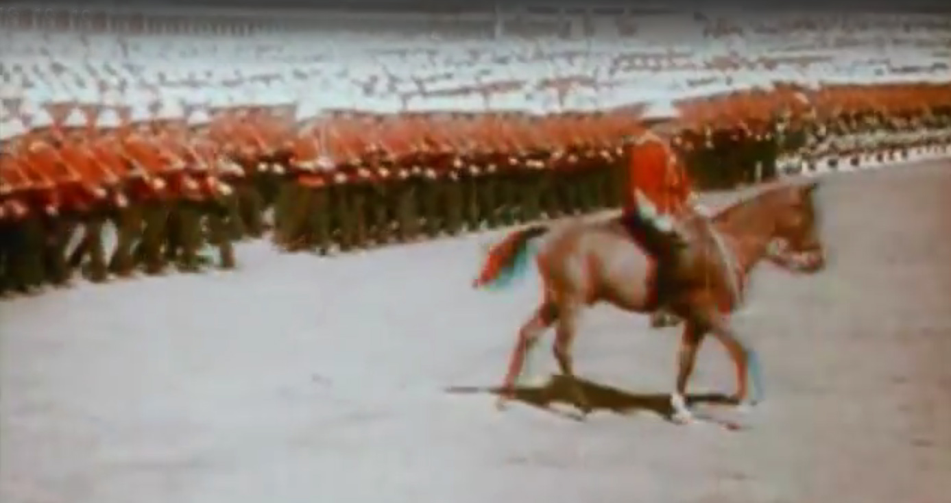 DurbarHorse