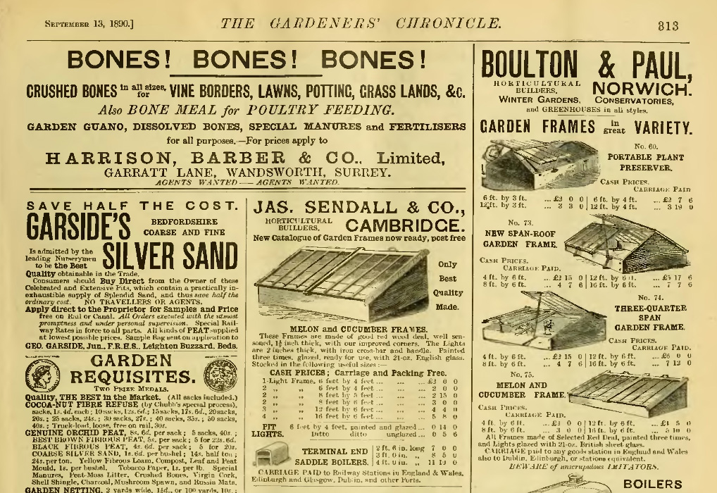 bones!