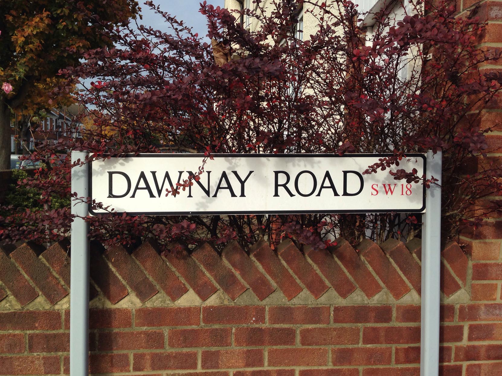 Swaby3