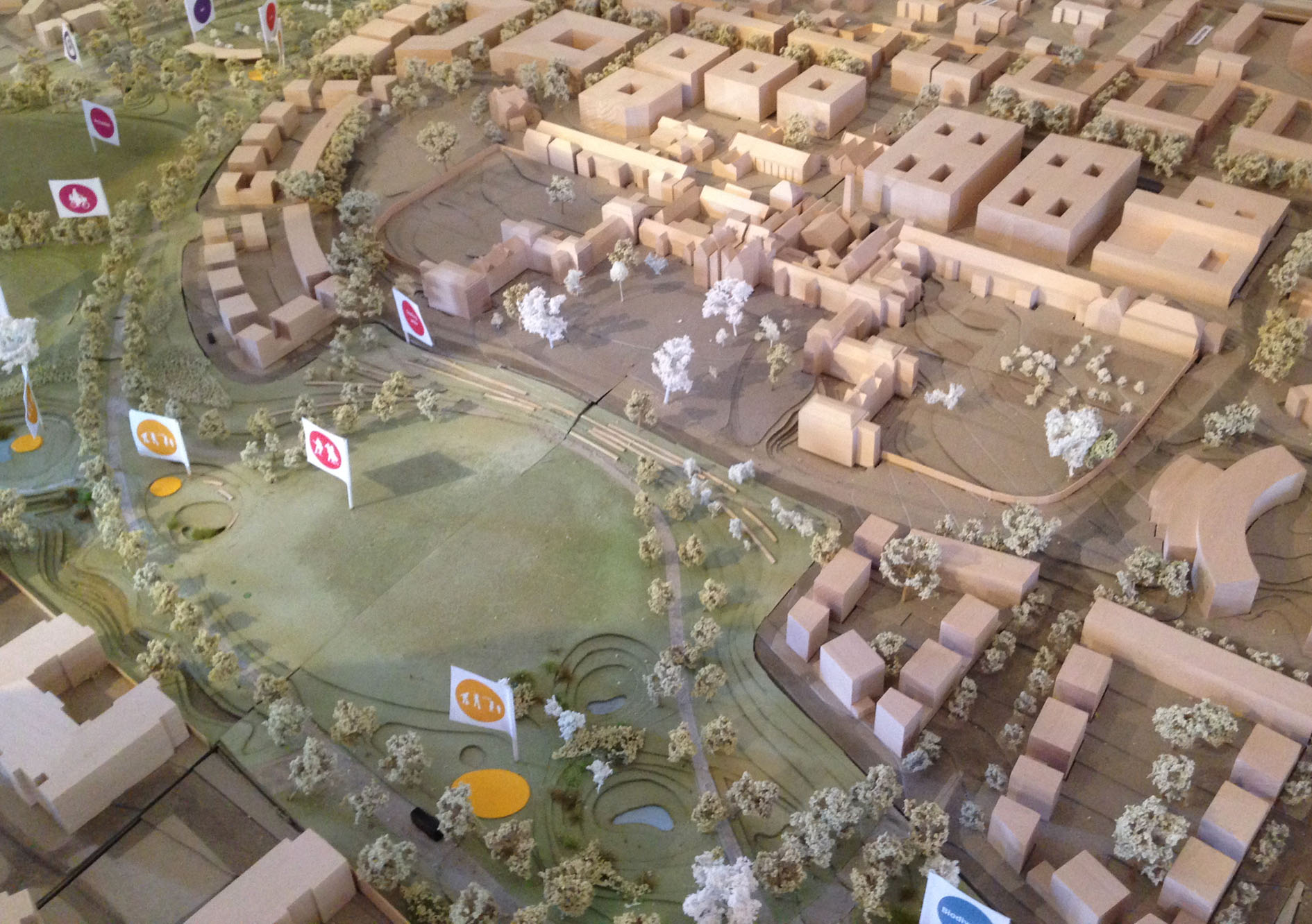 SpringfieldPlan