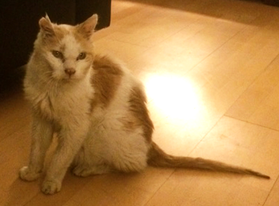 Sid sitting
