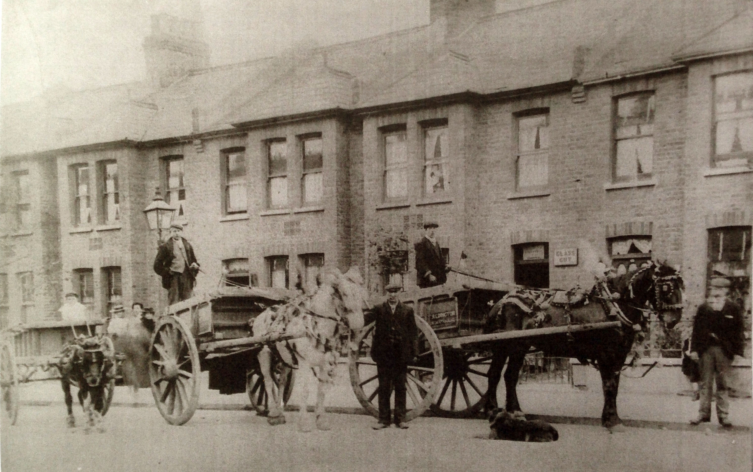 AlstonHorses