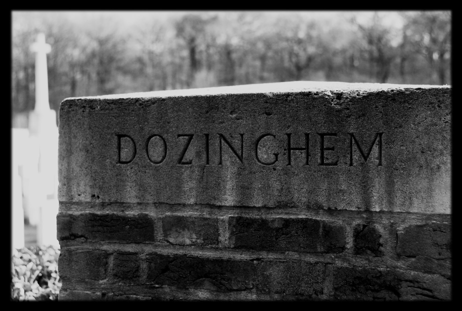 dozinghemBART