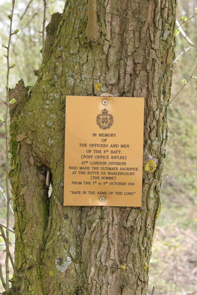 por-plaque